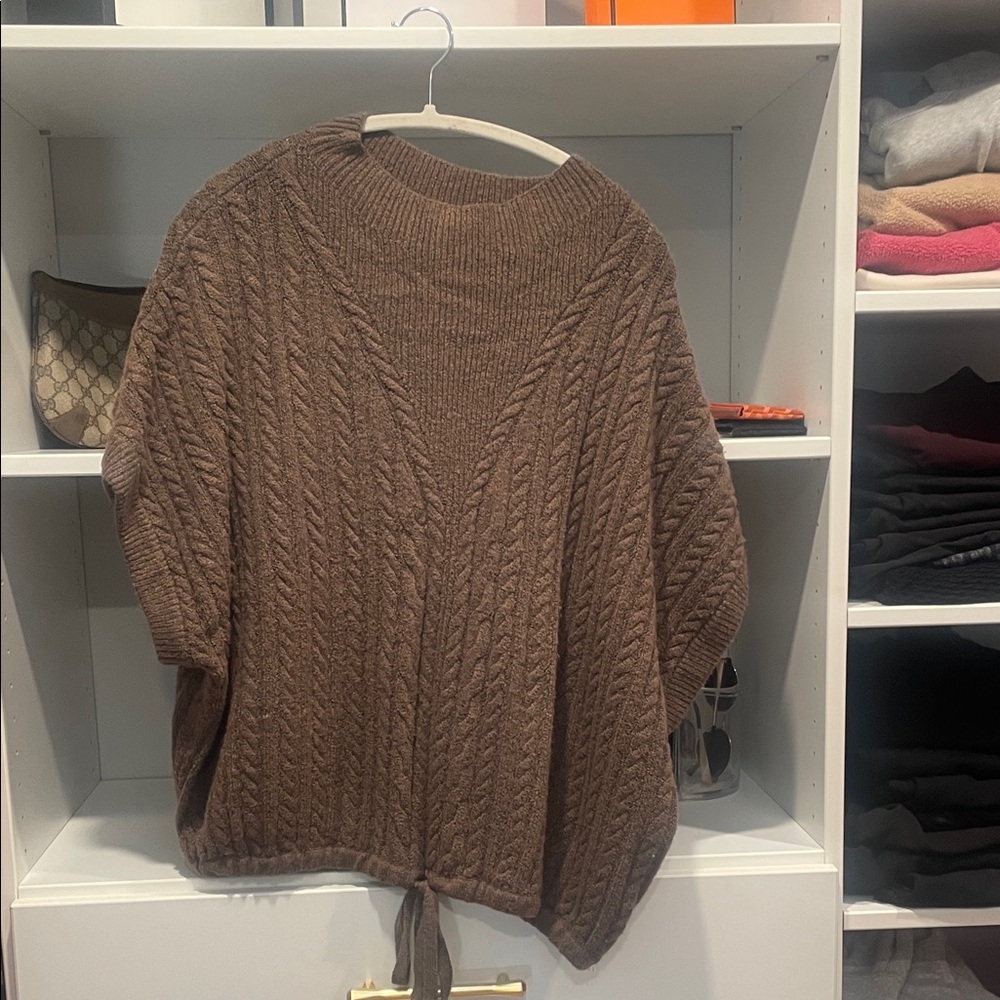 Express Brown V-Neck Cable Knit Sweater